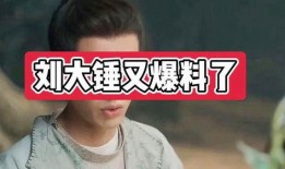刘大锤最新爆料林允,刘大锤最新爆料揭秘真相